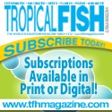 TFH Magazine